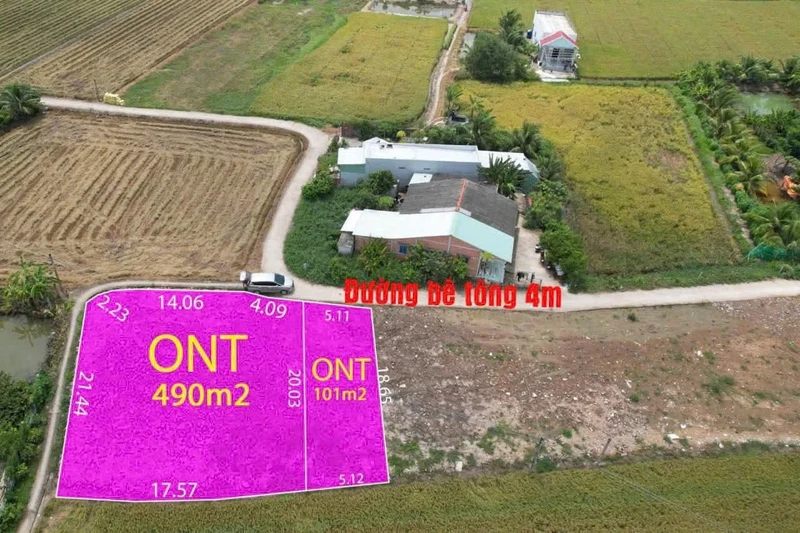 Bán đất thổ cư 490m² gần trường học, Tỉnh lộ 833, Đức Tân, Tân Trụ, Long An – 750 triệu
