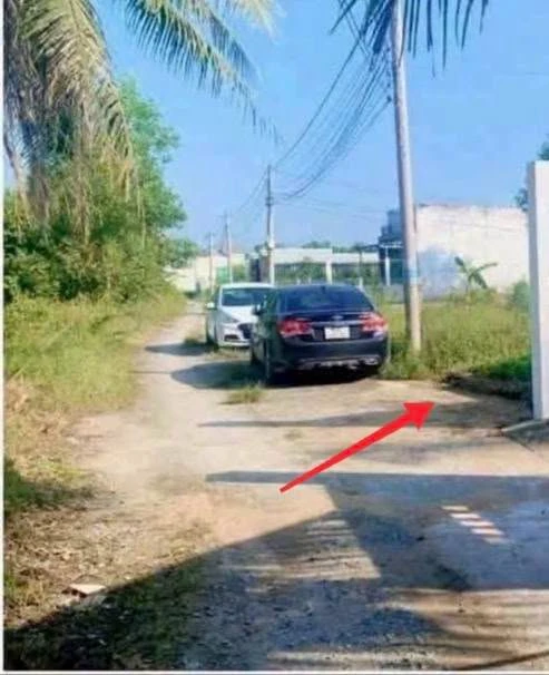 Bán nền 5×22m 110m² 790 triệu Bình Chánh - Ảnh 1