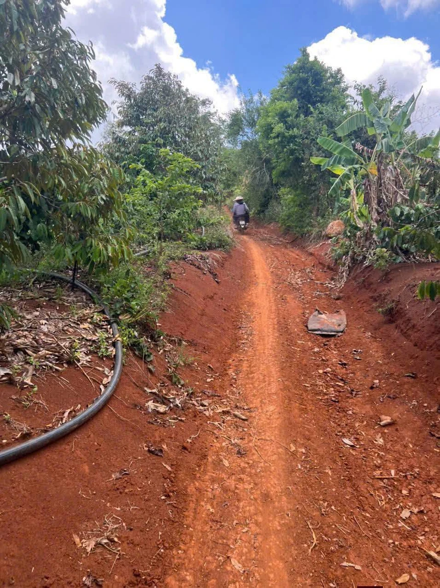 Bán 2,8ha đất Krông Nô Lâm Đồng, 1,2 tỷ - Ảnh thu nhỏ 2