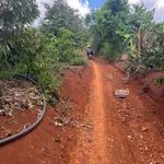 Bán 2,8ha đất Krông Nô Lâm Đồng, 1,2 tỷ - Ảnh thu nhỏ 2