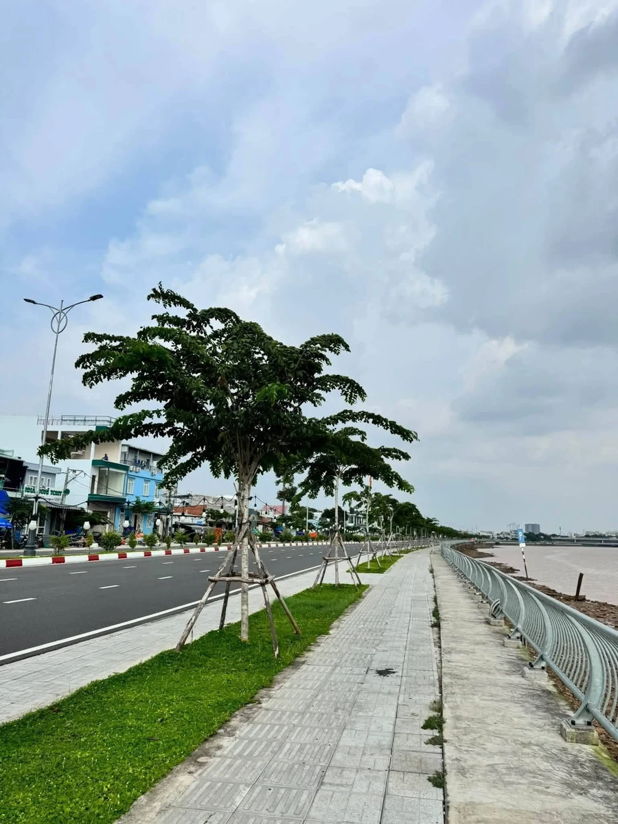 Bán sỉ 3 lô đất 89m² Huỳnh Văn Nghệ, Bình Dương - Ảnh thu nhỏ 2