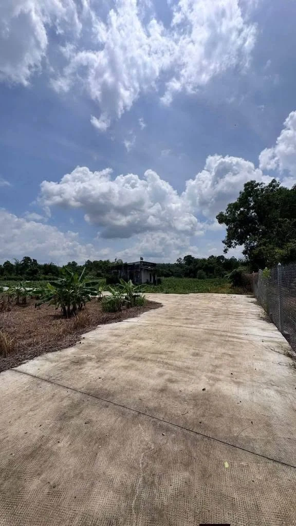 Bán nền thổ cư Xuân Đường 120m², gần sân bay Long Thành 1 tỷ - Ảnh 1