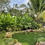 Bán 1.457m² đất vườn nghỉ dưỡng có nhà vườn, hồ cá tại Bàu Hàm 2, Thống Nhất, Đồng Nai - Ảnh thu nhỏ 3