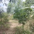Lô đất 1.213m2 mặt tiền đường Văn Ngọc Chính, P10, TP Sóc Trăng giá chỉ 2.9 tỷ đồng - Ảnh thu nhỏ 9
