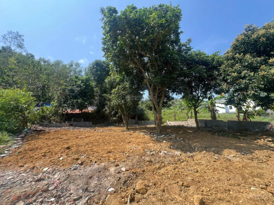 Cần tiền bán gấp 420m2 full đất ở tại Lâm Sơn, Lương Sơn, đất hai mặt đường, cách QL6 100m - Ảnh thu nhỏ 4
