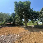 Cần tiền bán gấp 420m2 full đất ở tại Lâm Sơn, Lương Sơn, đất hai mặt đường, cách QL6 100m - Ảnh thu nhỏ 4