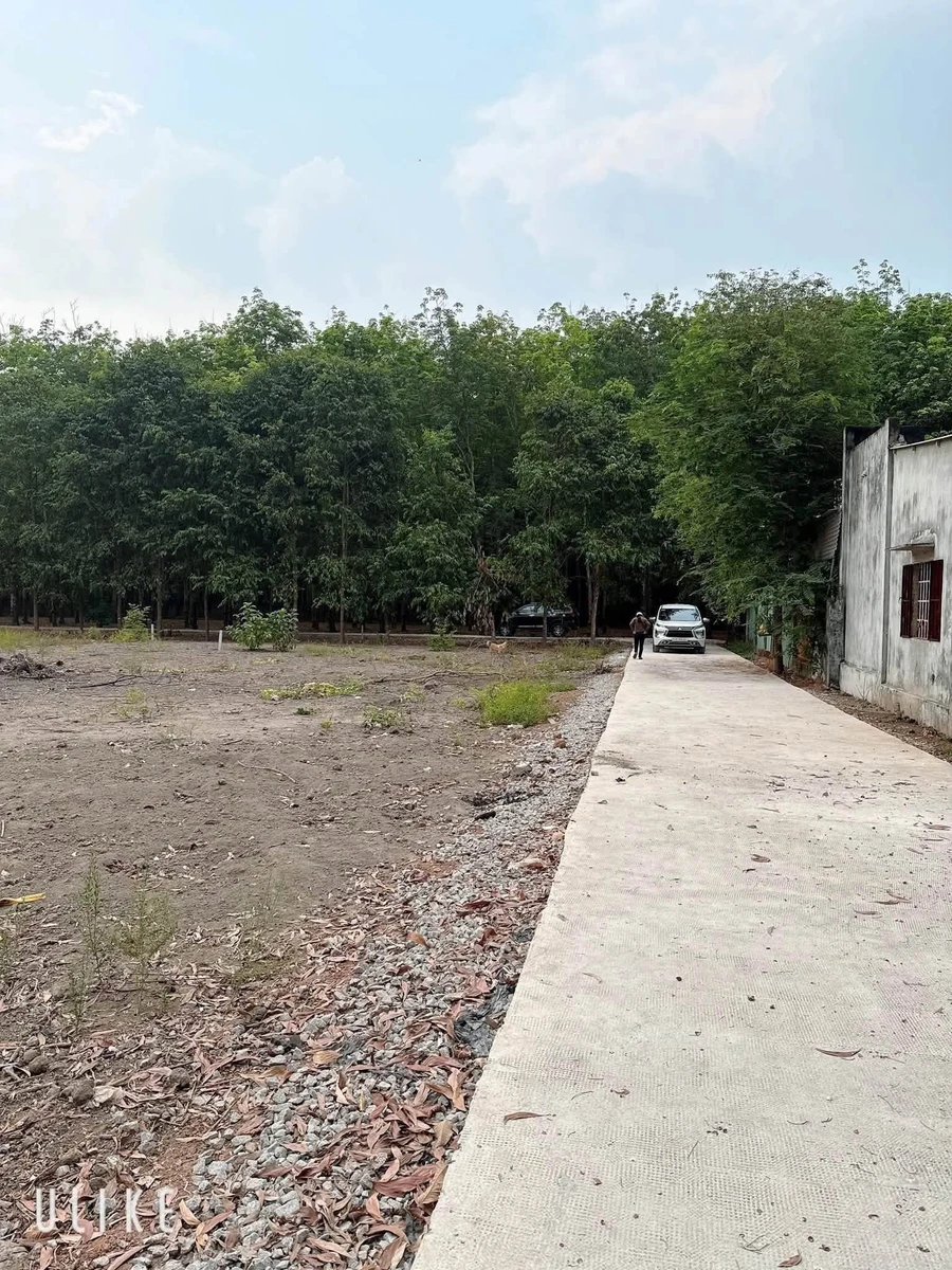 Bán 2 lô đất Tân Lập Bình Dương 340m², giá 600-650 triệu - Ảnh thu nhỏ 5