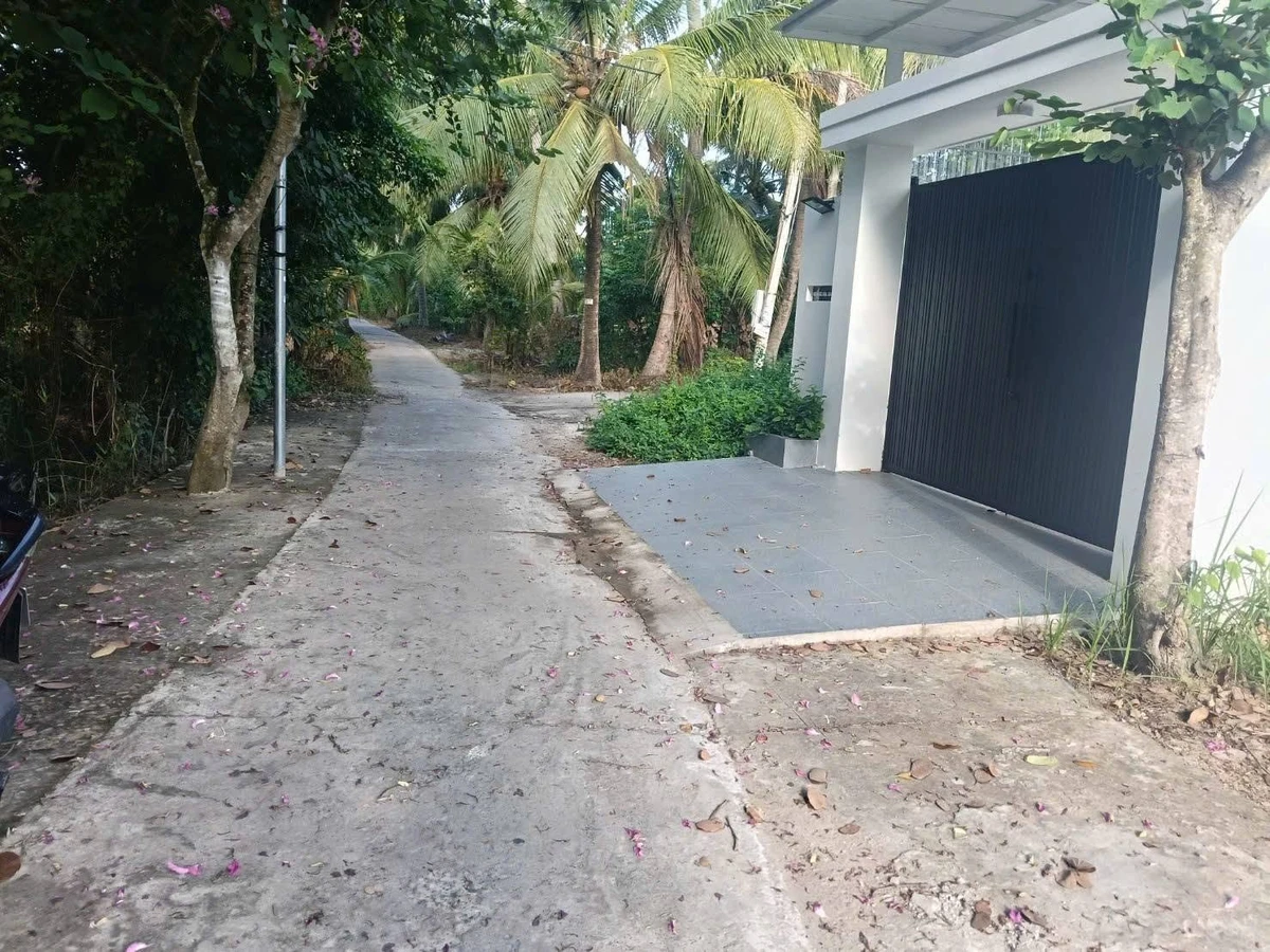 Bán nền đất Phú An Hòa 156m² Nhà Bè - Ảnh thu nhỏ 2
