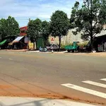 Bán lô đất 100m2 mặt đường chính Bình Chánh 880 triệu - Ảnh thu nhỏ 2
