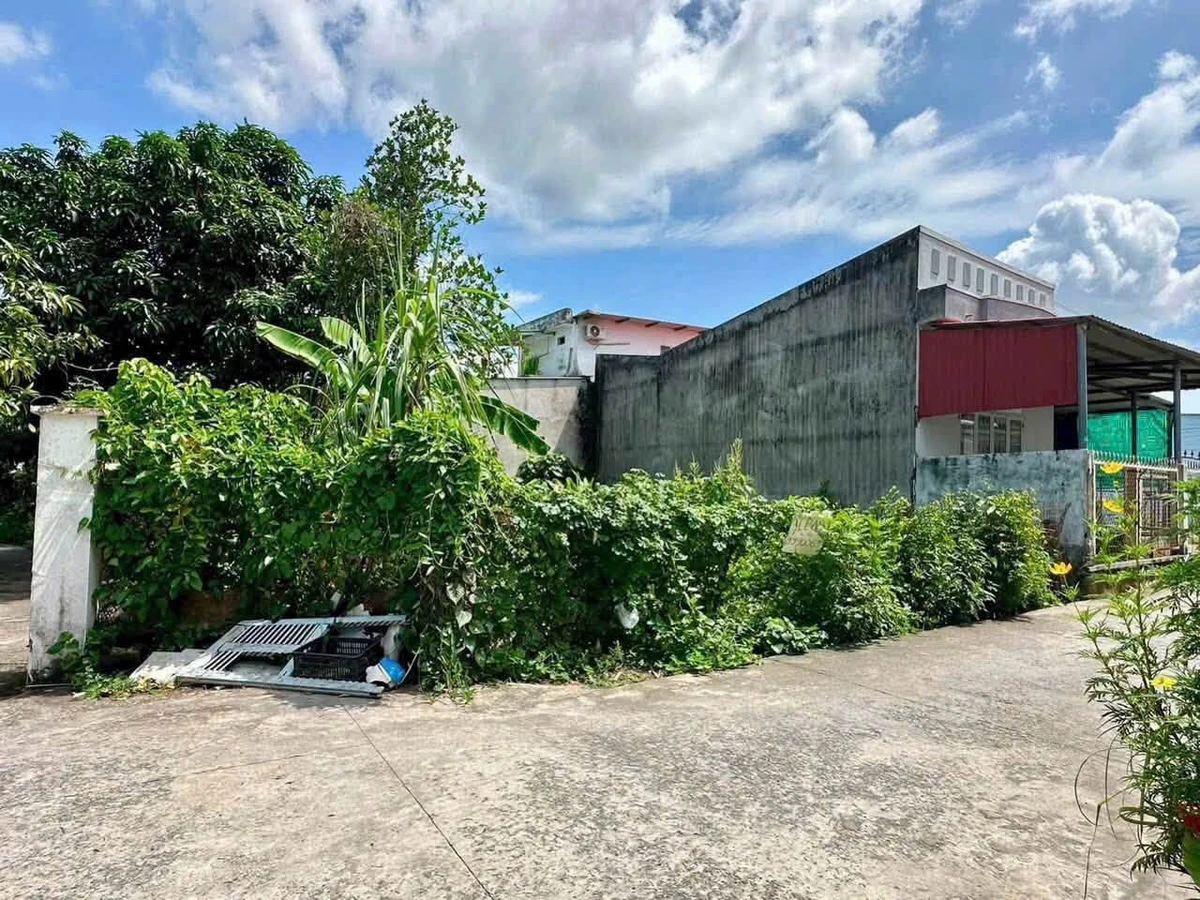 Bán lô đất thổ cư 98m² hẻm Trần Phong Sắc, Tân An, Long An - Ảnh thu nhỏ 3