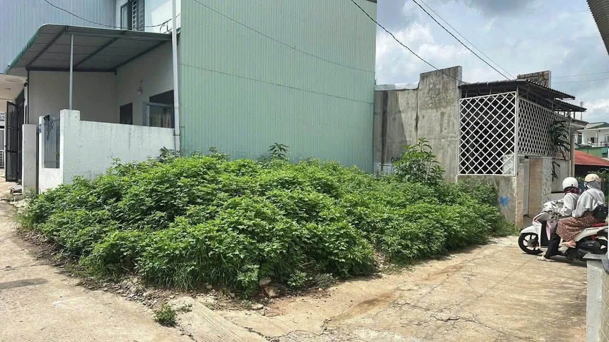 Bán đất góc 2 mặt tiền 50m2 hẻm 268 Nguyễn Công Trứ 1 tỷ 150 triệu - Ảnh thu nhỏ 2