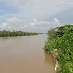 Bán 3 thửa đất liền kề hơn 14.000m2 mặt tiền sông và lộ tại Xã Phước Long, Vĩnh Long - Ảnh thu nhỏ 4