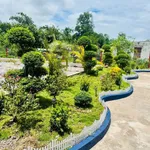 Bán nhà vườn 1.800m² Phú Giáo 3 tỷ 500 triệu - Ảnh thu nhỏ 5