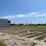 Bán đất giáp KCN Vsip 1100ha Nam Định, lô góc, trục chính, ô tô tránh cạnh Quốc Lộ 37B 942.5tr - Ảnh thu nhỏ 9