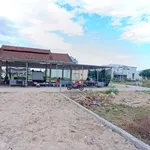 Bán đất thổ cư 61m2 chợ Suối Tiên, Quận 12 - Ảnh thu nhỏ 4