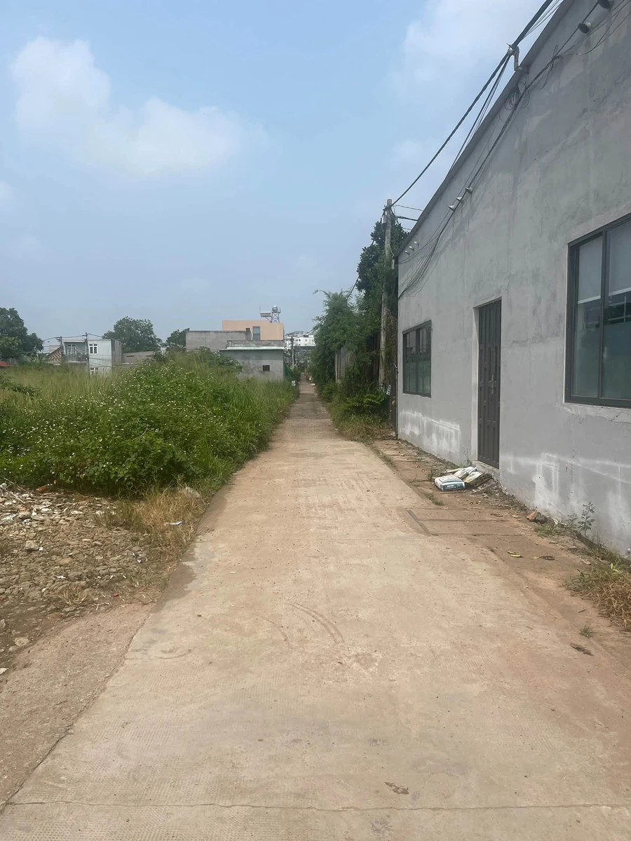 Bán đất Long Khánh 90m2 sổ riêng 1.3 tỷ - Ảnh thu nhỏ 4