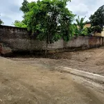 Chủ cần tiền cần bán gấp 391m2 tại xóm Đồng Bưng xã Nhuận Trạch huyện Lương Sơn HB - Ảnh thu nhỏ 1