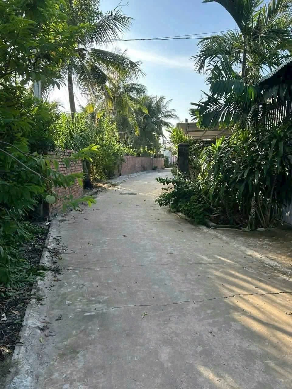 Bán nhà đất 2 PN, 100 m² hậu dài Tây Ninh - Ảnh 1