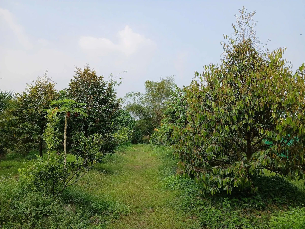 Bán đất vườn 1000m² tại Đồng Nai, gần KCN Becamex - Ảnh thu nhỏ 3