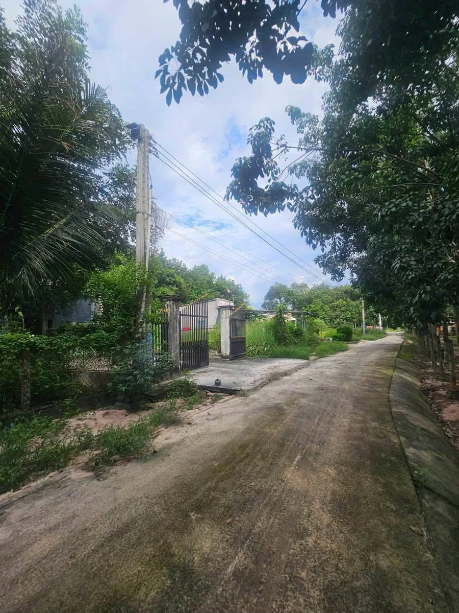 Bán 1.1ha đất cao su ngay chợ Bến Cát, 6 tỷ - Ảnh 1