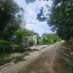 Bán 1.1ha đất cao su ngay chợ Bến Cát, 6 tỷ - Ảnh thu nhỏ 1