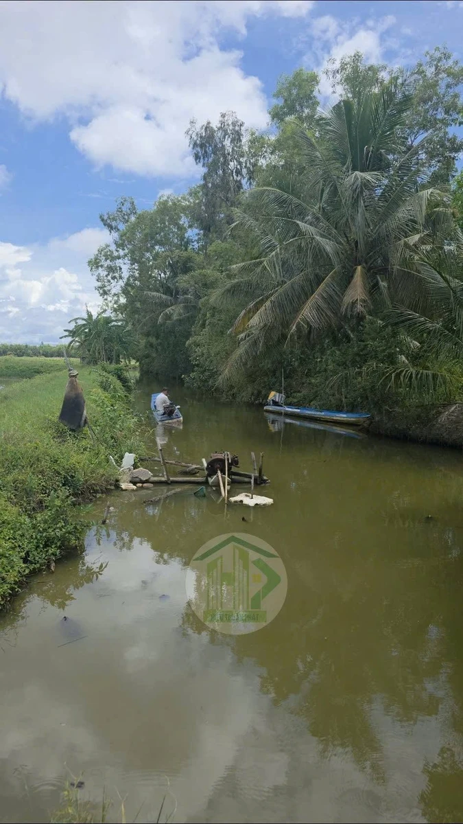 Bán đất lúa tôm 15 công Phước Long Cà Mau - Ảnh thu nhỏ 2