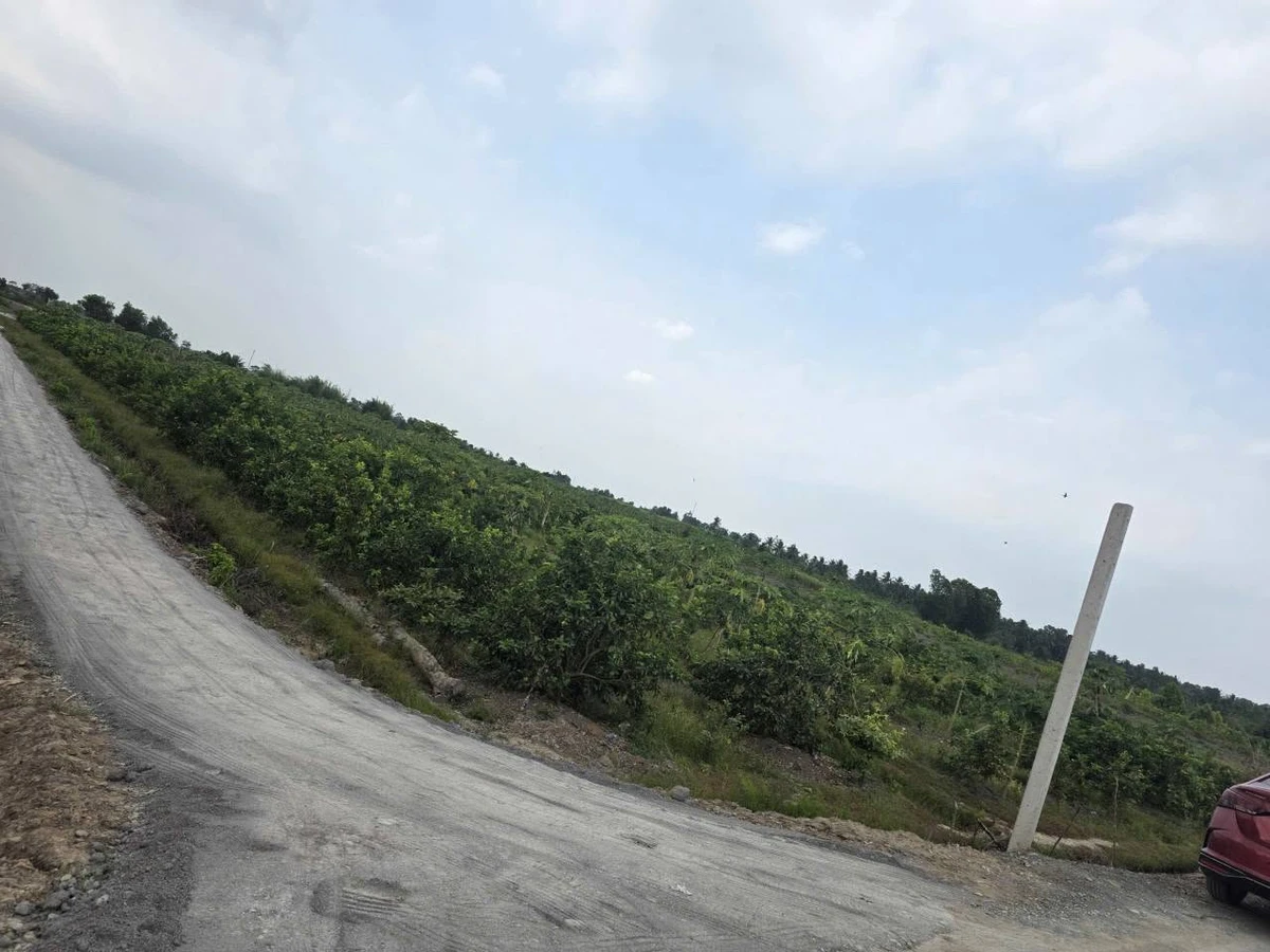 Lô góc 2 mặt tiền 1.000m² view kênh Rạch Góc, Long An - Ảnh thu nhỏ 4
