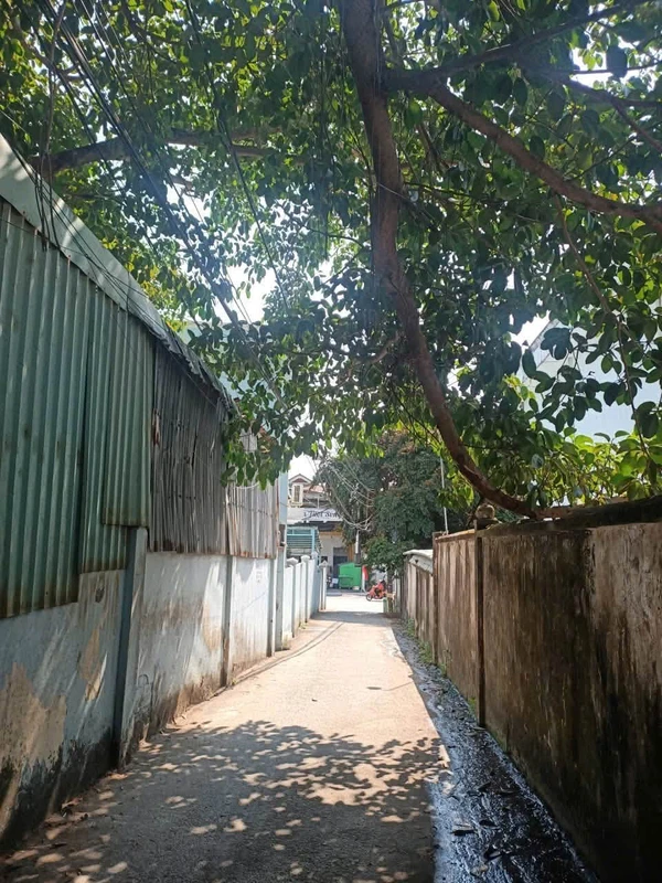 Bán đất 109m² view biển gần Chợ Đêm Phú Quốc 3,5 tỷ
