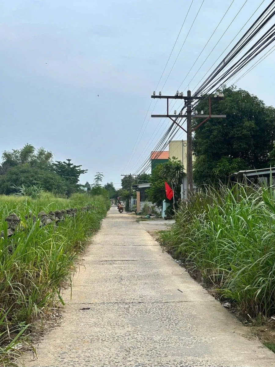 Bán lô đất 170m² mặt tiền Nguyễn Trãi, Quận 5 - Ảnh thu nhỏ 2