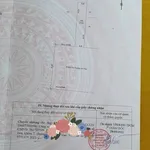 Bán nền đất 320m² mặt tiền Hải Thượng Lãng Ông, Cà Mau - Ảnh thu nhỏ 5