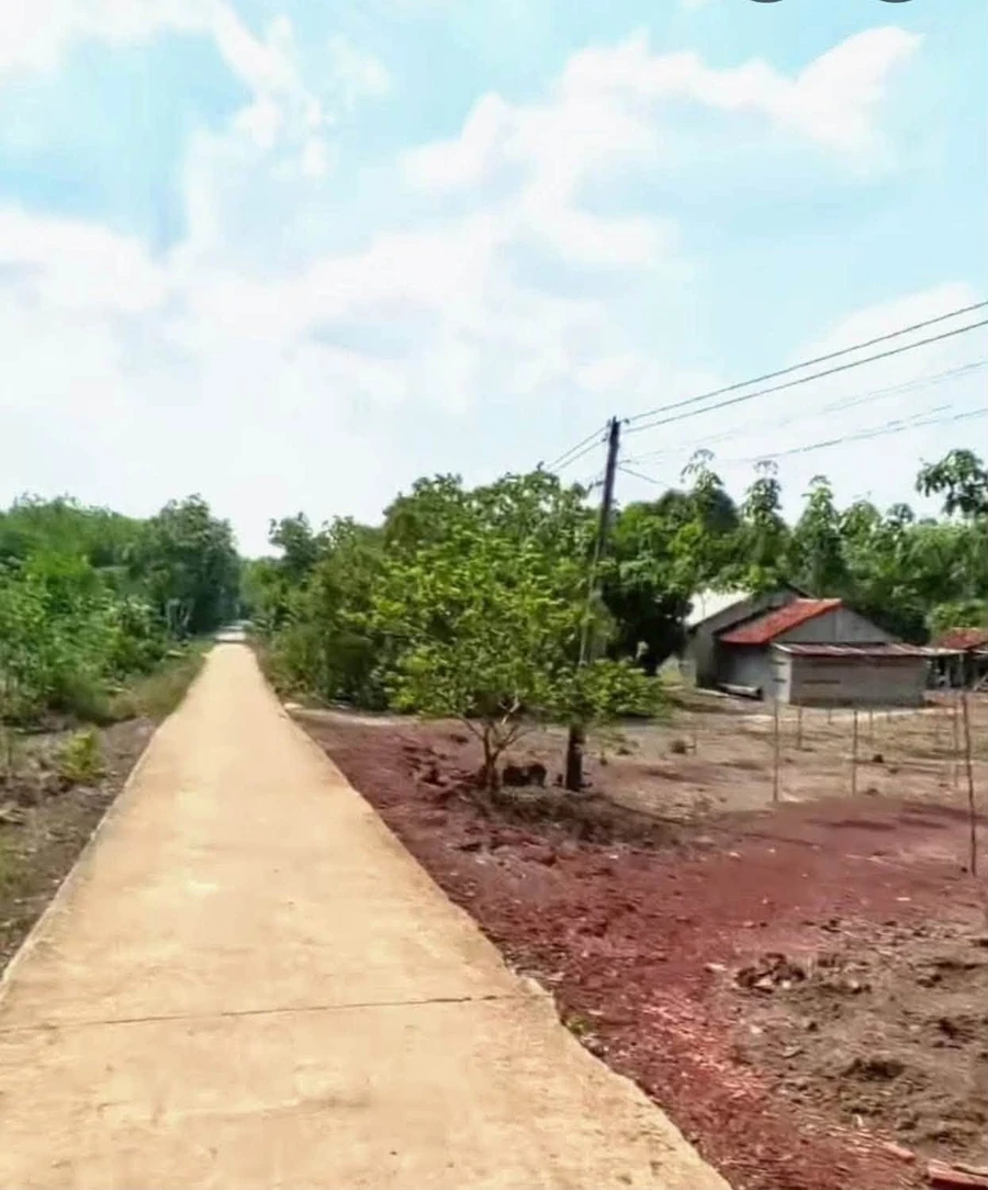 Bán đất nền 100m² sổ sẵn gần KCN Visip Tân Hòa Đồng Phú - Ảnh thu nhỏ 2