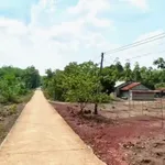 Bán đất nền 100m² sổ sẵn gần KCN Visip Tân Hòa Đồng Phú - Ảnh thu nhỏ 2