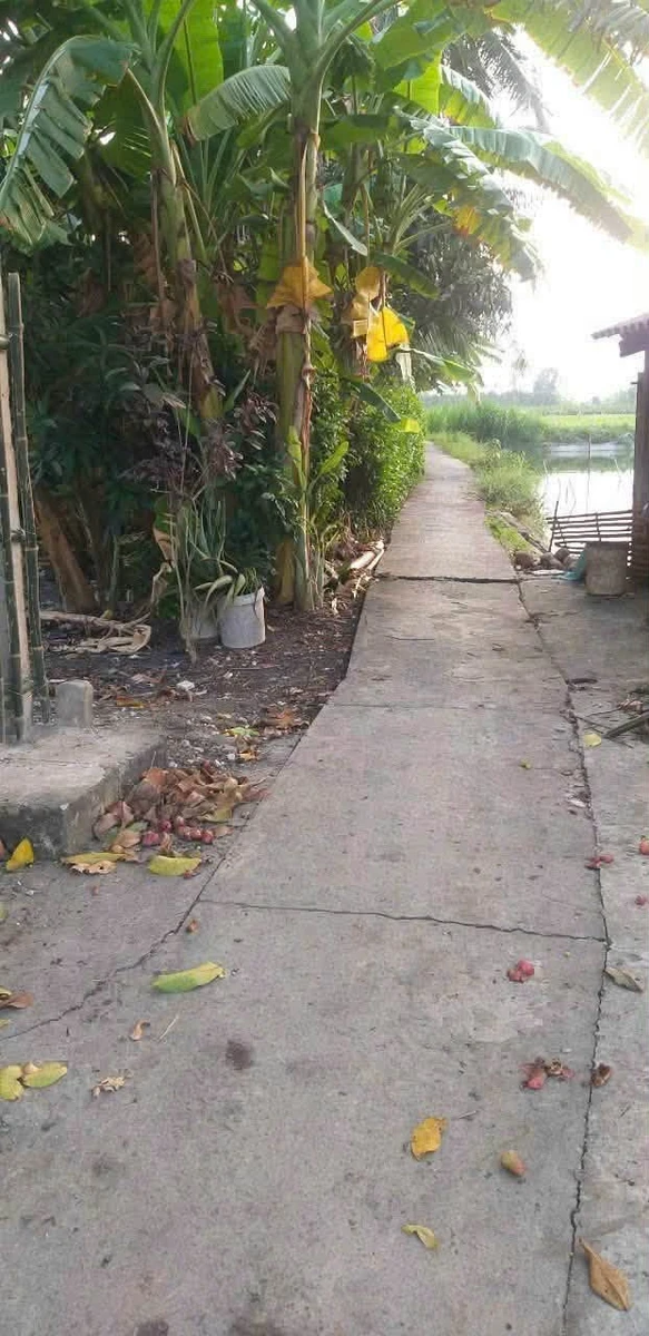 Bán gấp nhà mặt tiền nhựa đường Nguyễn Văn Mỹ, xã Bình Tịnh, Tân Trụ, Long An, 400m2 thổ cư - Ảnh thu nhỏ 2