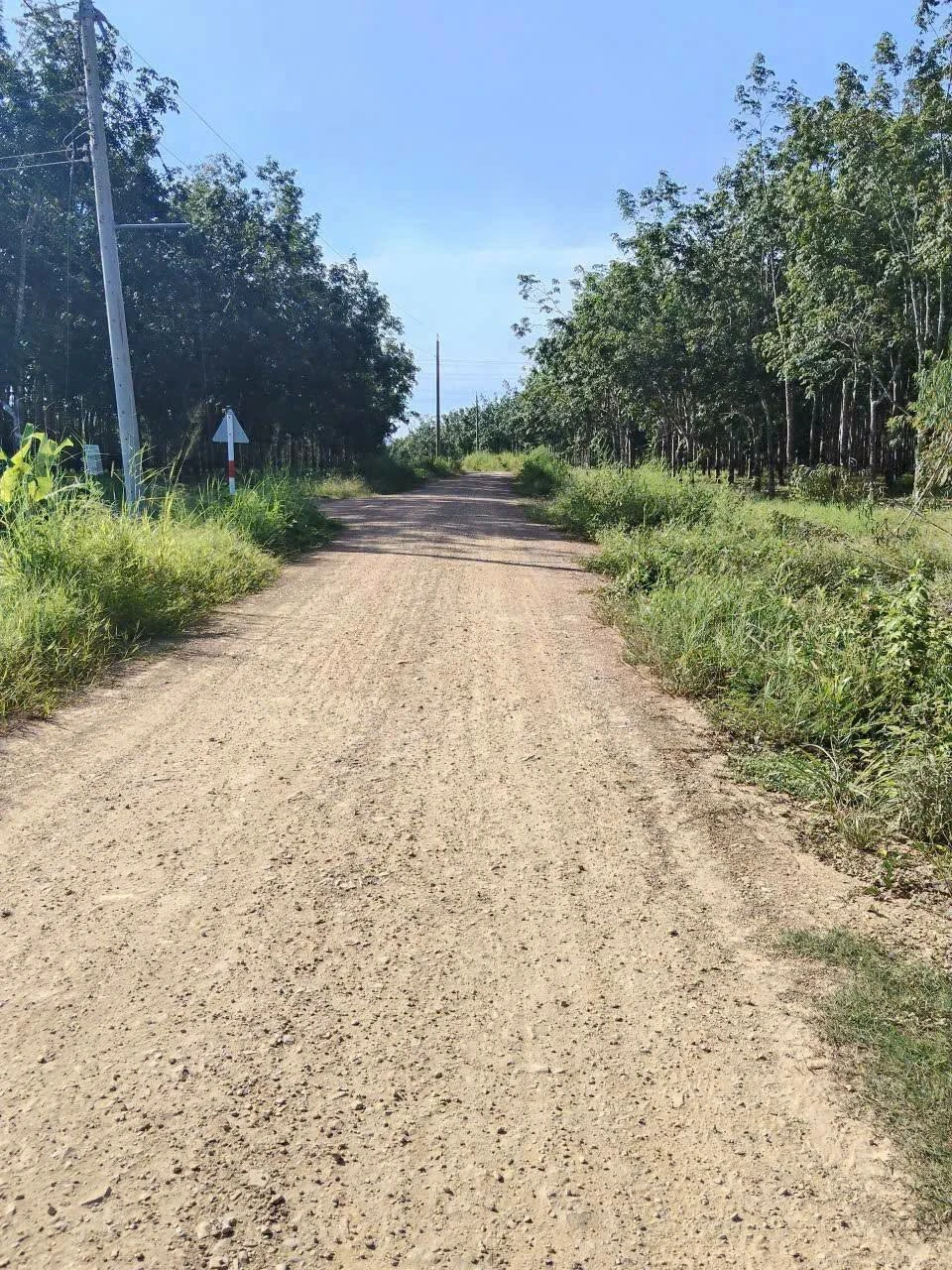 Bán 2,4ha đất Bình Thuận 1 tỷ 470 triệu - Ảnh 1