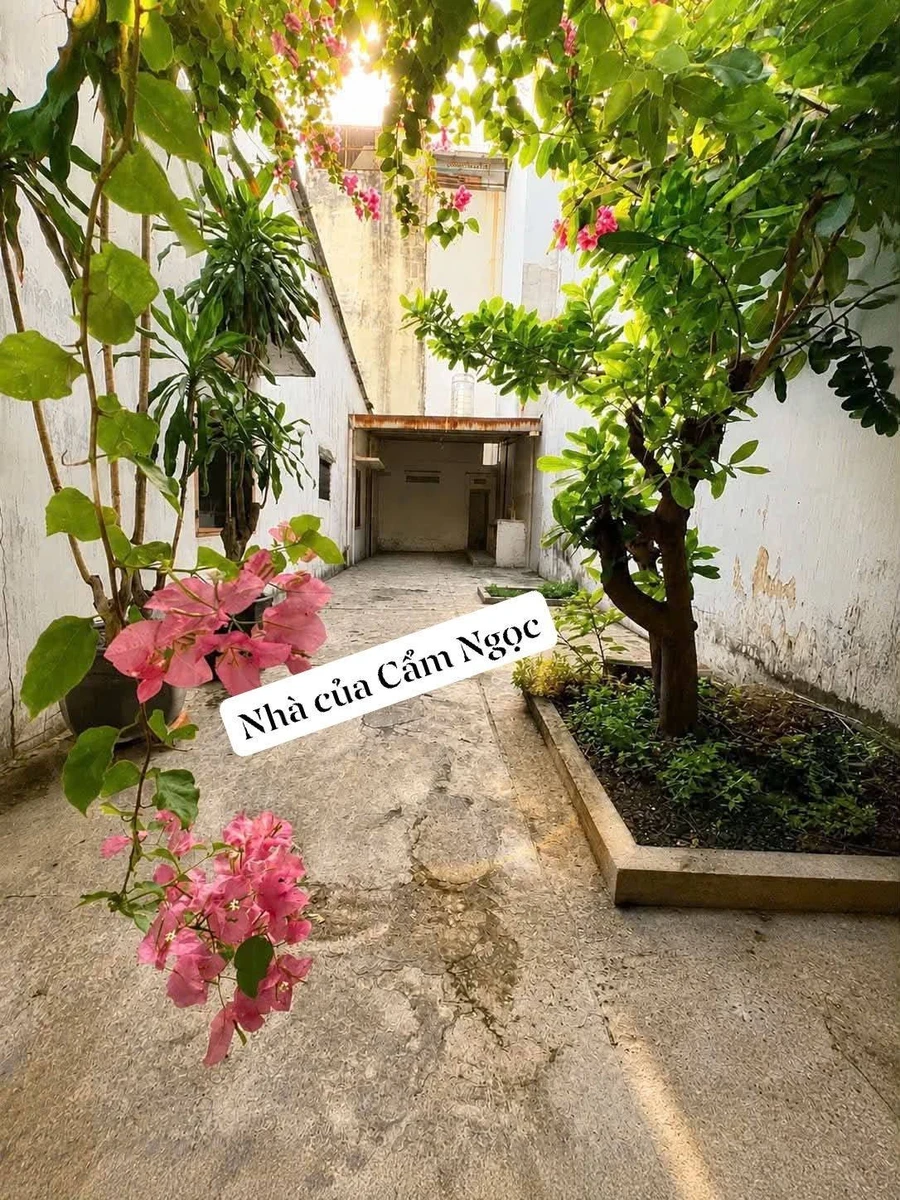 Bán đất 220m2 ngang 10.2m có nhà cấp 4 tại Gò Vấp giá 15,5 tỷ - Ảnh thu nhỏ 5