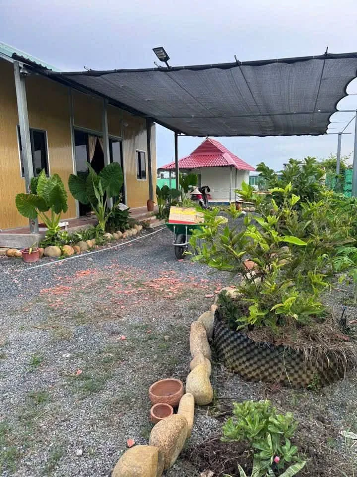 Bán nhà vườn 1000m² Đức Huệ Long An, giá 1 tỷ 650 - Ảnh thu nhỏ 2