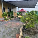Bán nhà vườn 1000m² Đức Huệ Long An, giá 1 tỷ 650 - Ảnh thu nhỏ 2