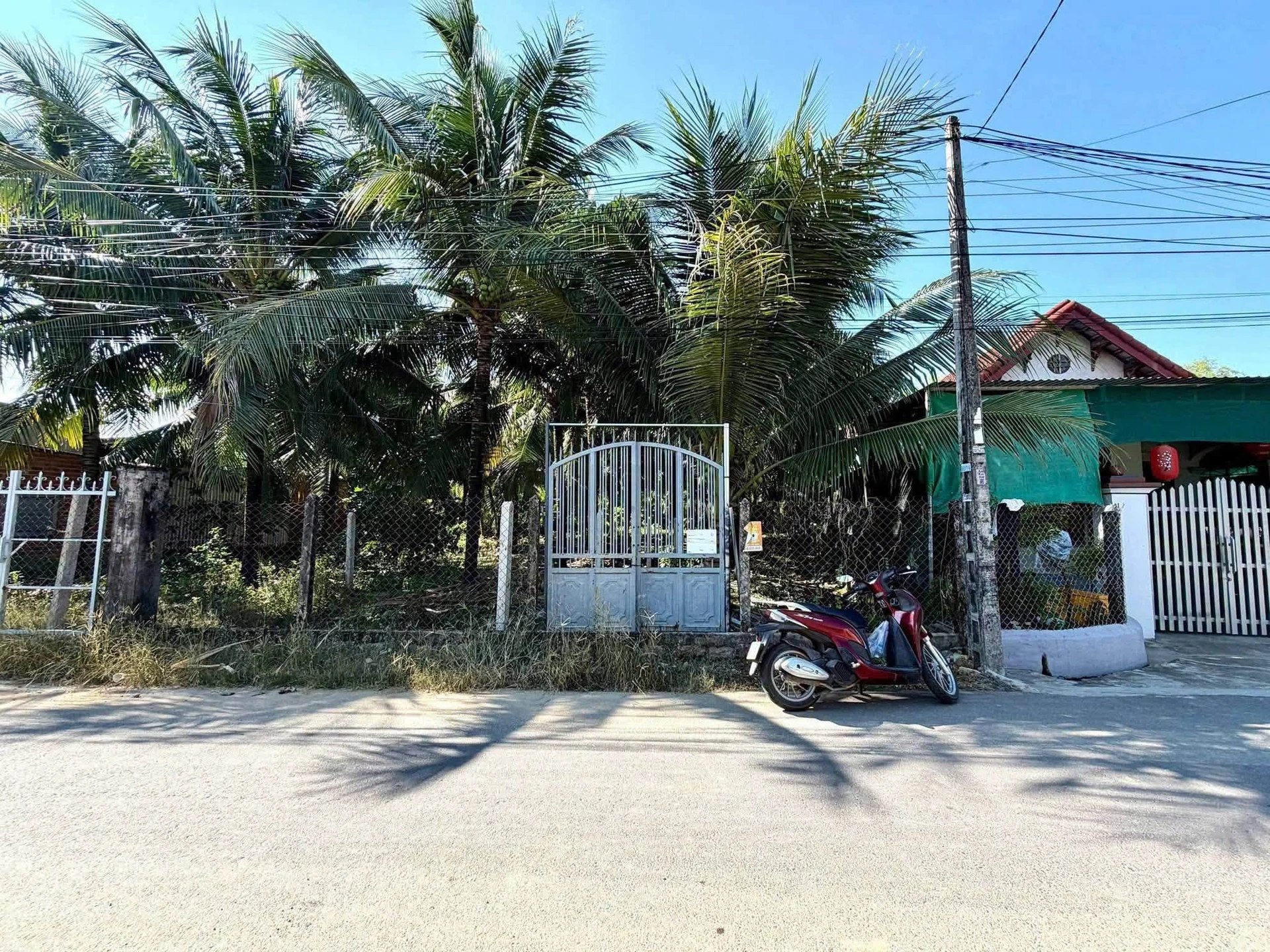 Bán vườn dừa Diên Lạc 99,5m², 960 triệu - Ảnh 1