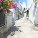 Bán dãy trọ 11 phòng 273m2 Lê Duẫn Phan Thiết - Ảnh thu nhỏ 1