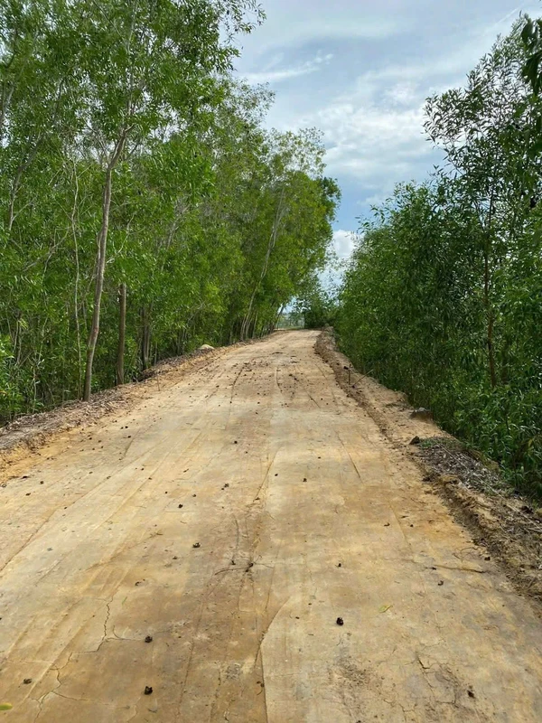 Bán đất 2ha An Ngãi Long Điền 10 tỷ 400