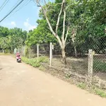 Bán 2 nền đất 4.5x35m gần trường Bảo Vinh, Hóc Môn, 1.17 tỷ - Ảnh thu nhỏ 3