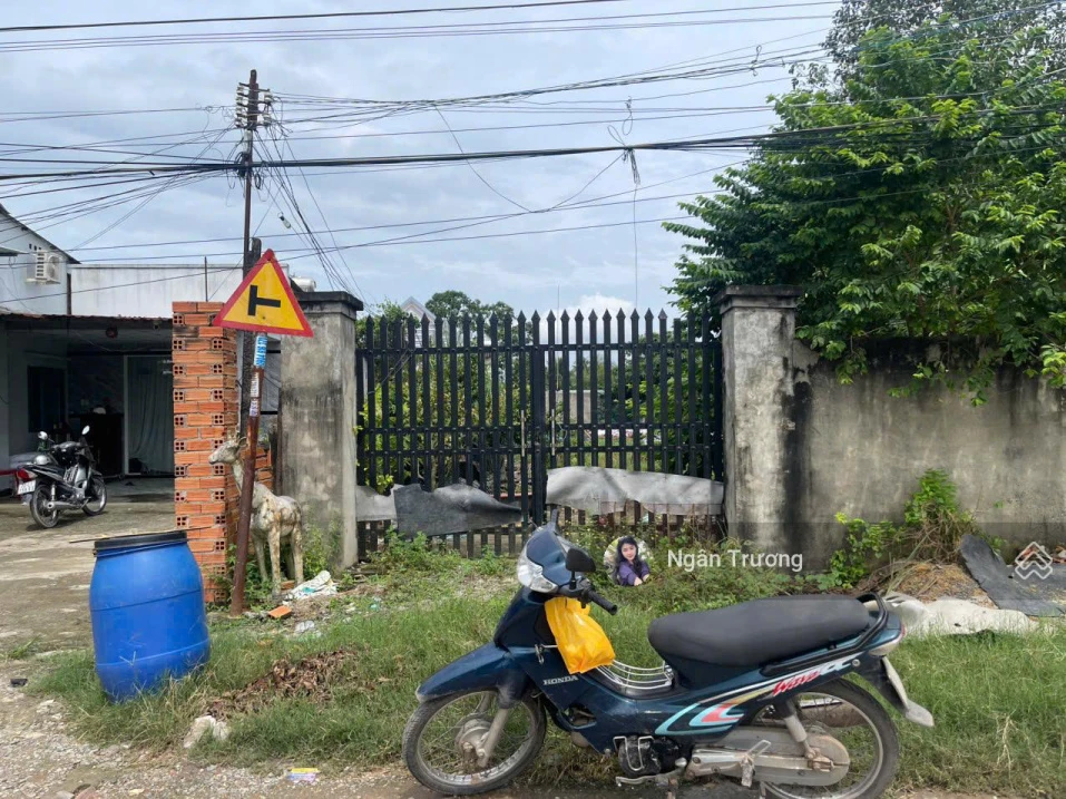 Đất đẹp Hòa Bình - An Hòa Trảng Bàng, gần KCN Thành Thành Công, 658m² - SHR - Giá SH 2 tỷ 1 - Ảnh 1