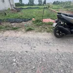 Bán gấp lô đất 100m² Mỹ Hạnh Bắc 1,2 tỷ - Ảnh thu nhỏ 4