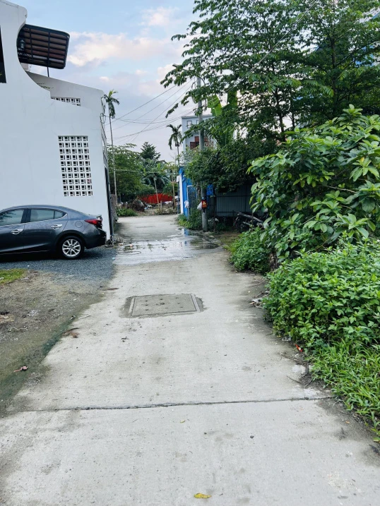 Vườn ngay trung tâm TP, ngay quảng trường sau lưng bệnh viện TP, giá tốt - Ảnh thu nhỏ 4