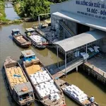 Bán gấp nhà xưởng mặt tiền đường Tỉnh 852 & mặt sông Sa Đéc, trung tâm lúa gạo Miền Tây - Ảnh thu nhỏ 3