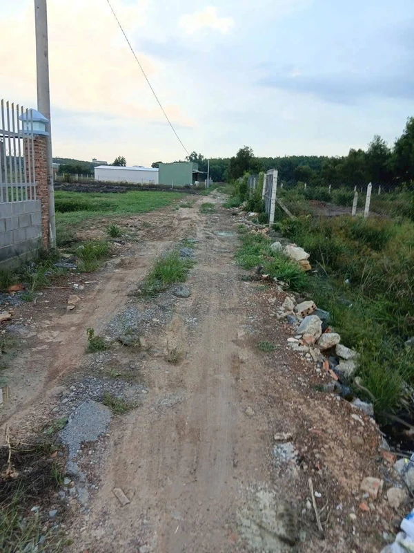 Bán đất làm nhà vườn Phú An 1.200m² - 2 tỷ