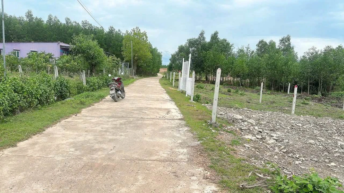 Bán lô đất 179m2 Khánh Bình Bình Chánh - Ảnh 1