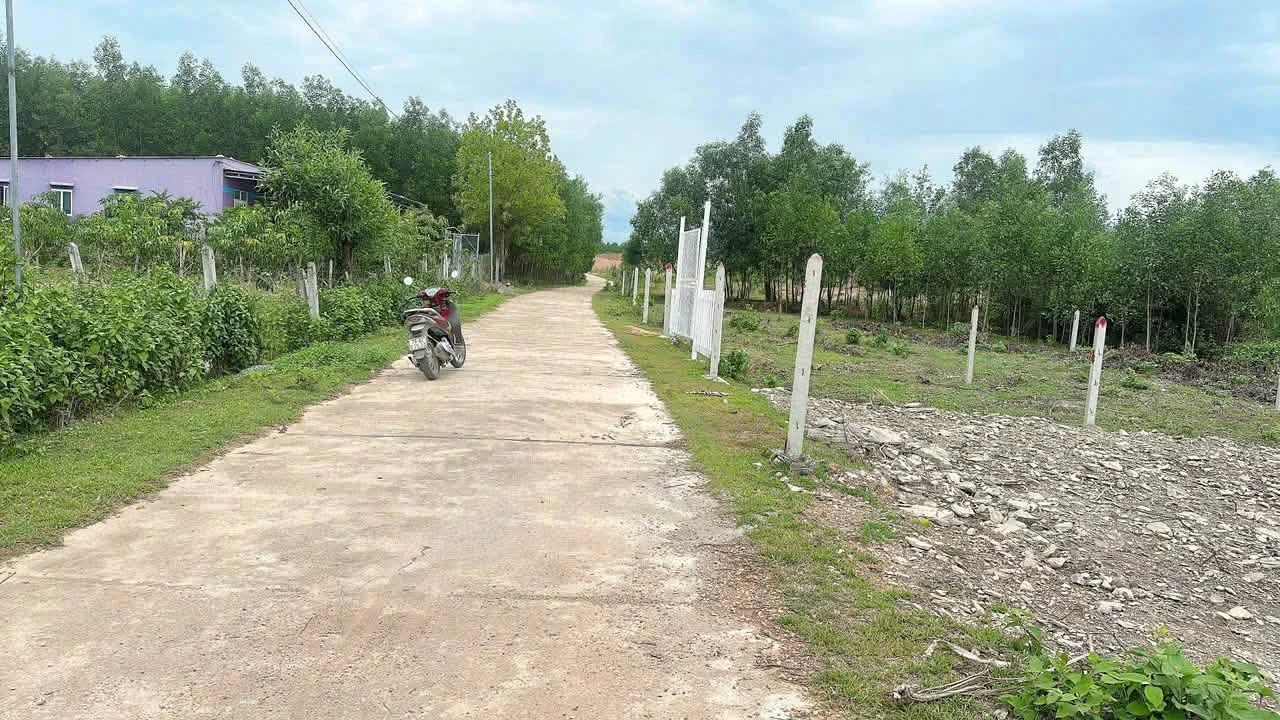Bán lô đất 179m2 Khánh Bình Bình Chánh - Ảnh 1