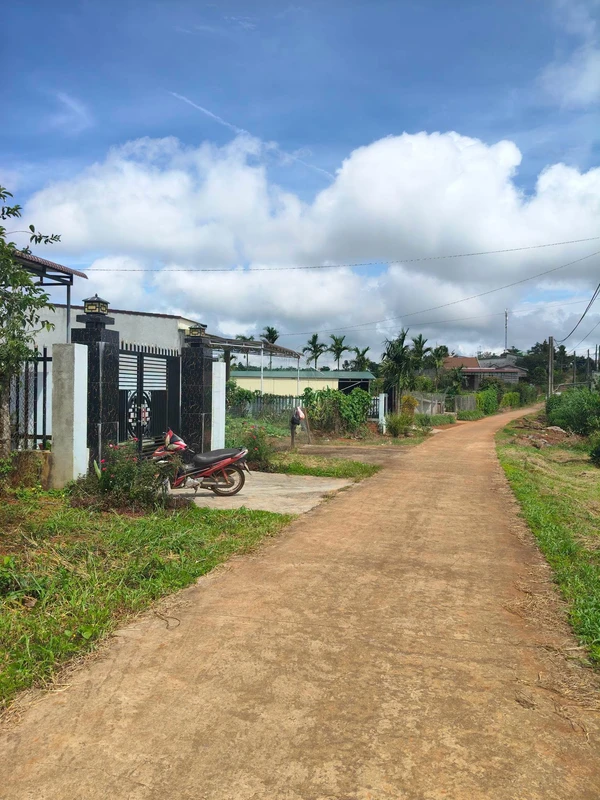 Bán đất 240 m² Nam Đình Đắk Song 650 triệu