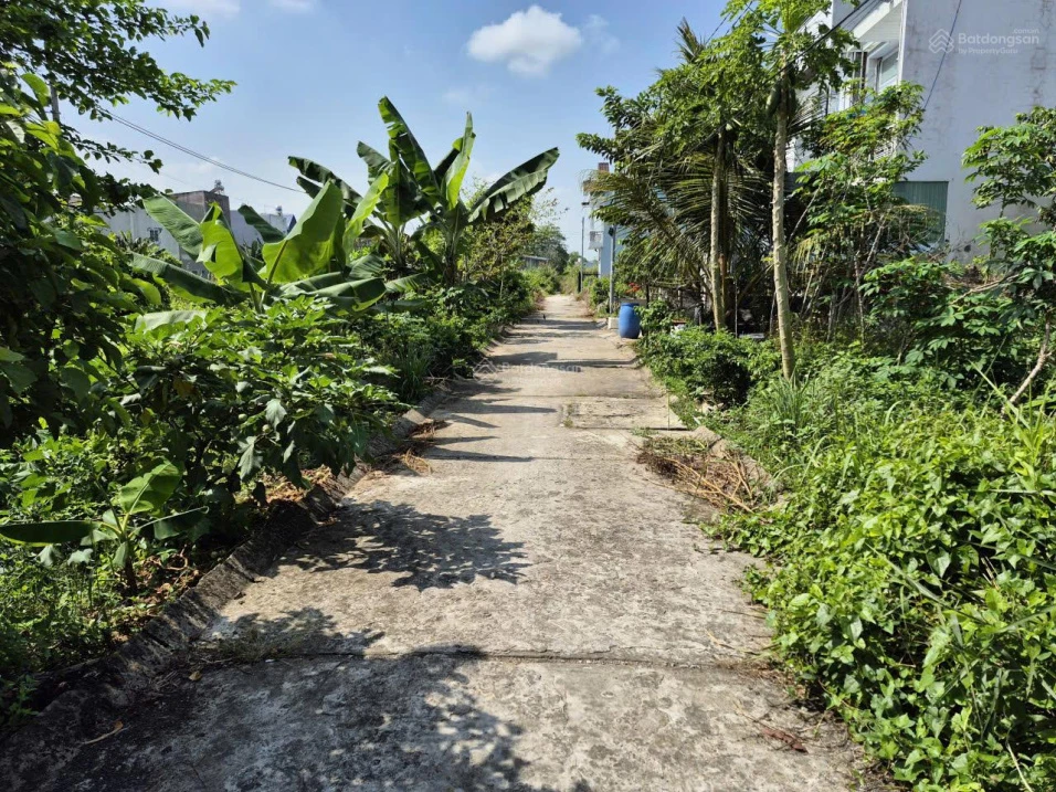 Bán đất tại Phường Mỹ Hòa, thành phố Long Xuyên (nay là phường Long Xuyên), tỉnh An Giang - Ảnh thu nhỏ 3